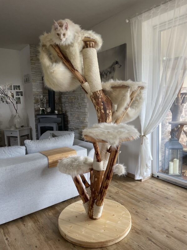 Echtholz Kratzbaum beige Liegeflächen Echtfell