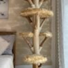 Holz Walnuss braun Natur Katzenbaum