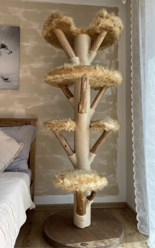 Holz Walnuss braun Natur Katzenbaum
