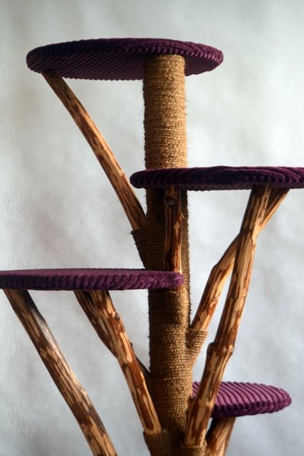 Katzenkratzbaum AMI lila Liegeflächen naturholz