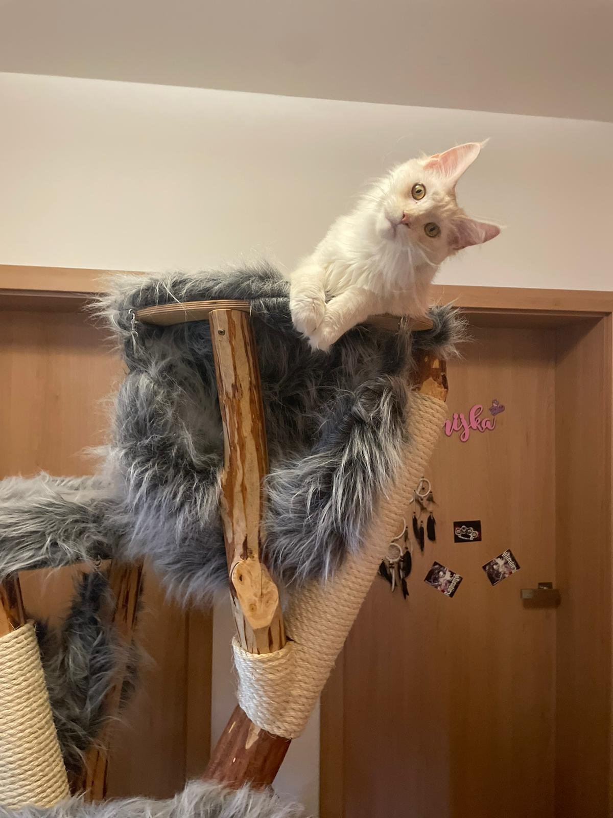 Katzenkratzbaum in grau weiß xxl