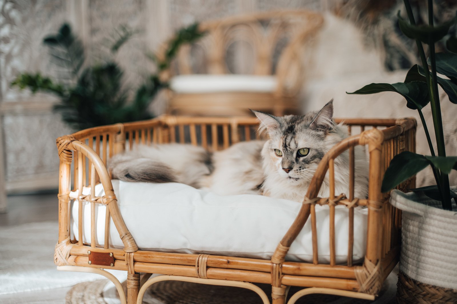 Katzenliege Premium-Design