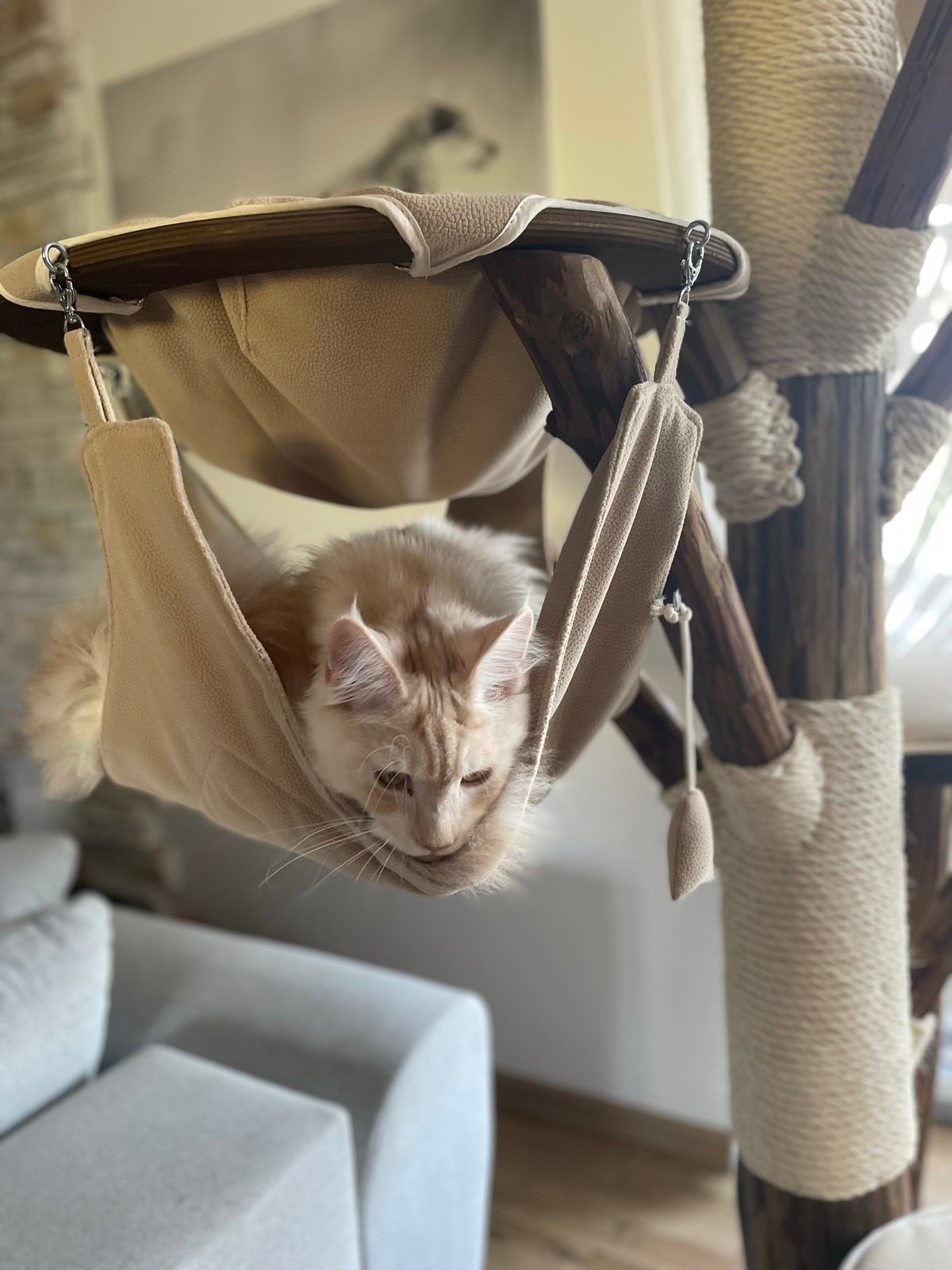 Kratzbaum aus Massivholz