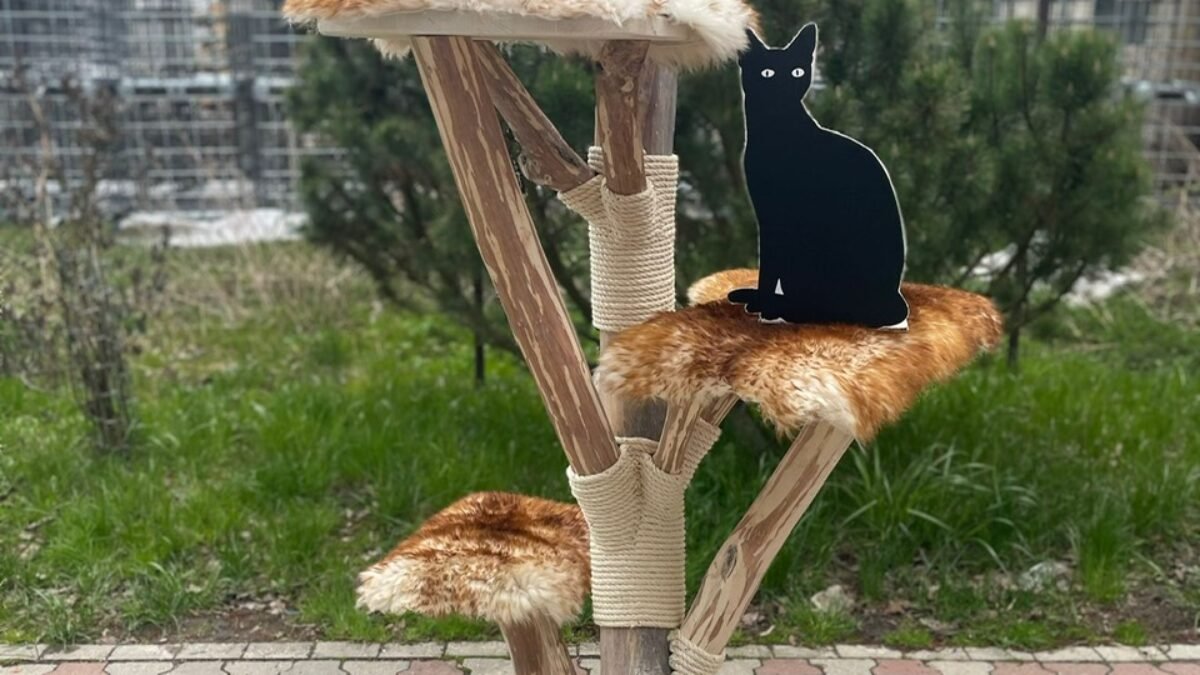 Outdoor Kratzbume kaufen  Kratzbume fr Garten & Auenbereich