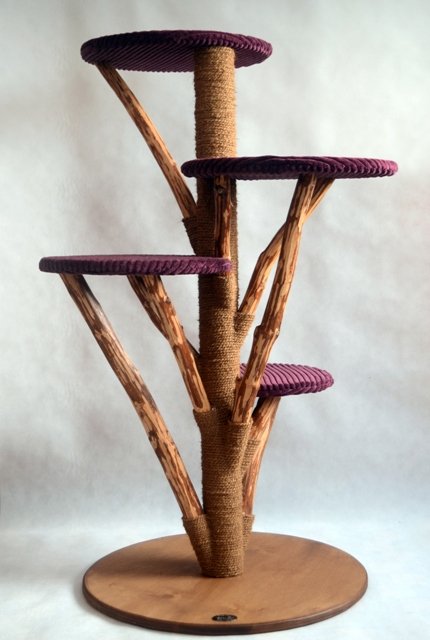 ami-katzenbaeume-mit-cordbezug-bordeaux-rot