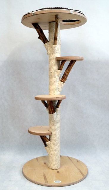 Vollholz Katzenbaum Farbe natur