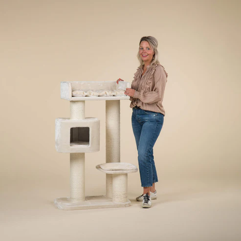 cream-beige-devon-rex-kratzbaum