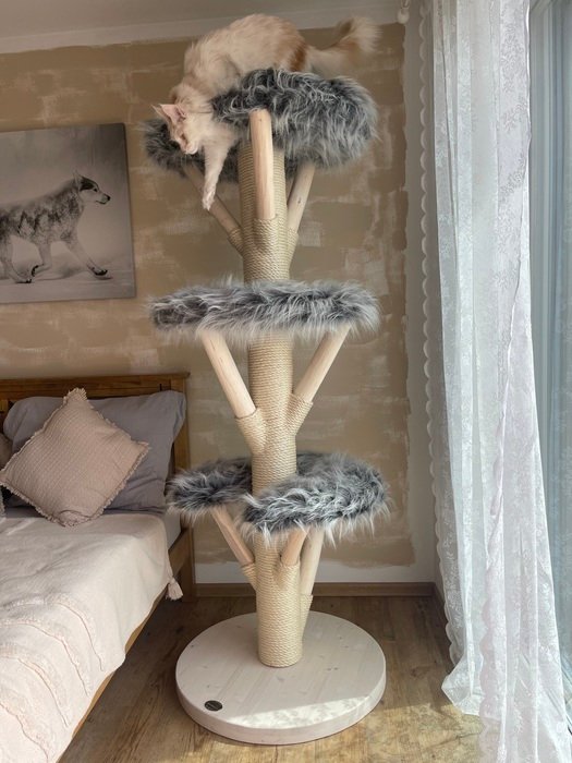 helles Massivholz mit grauen Liegeflächen