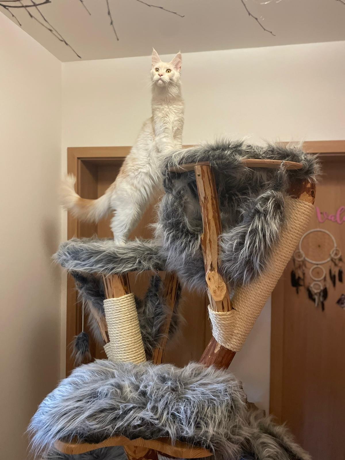 hellgrauer Katzenbaum für Katzen