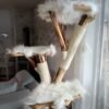 natürlicher Katzenbaum