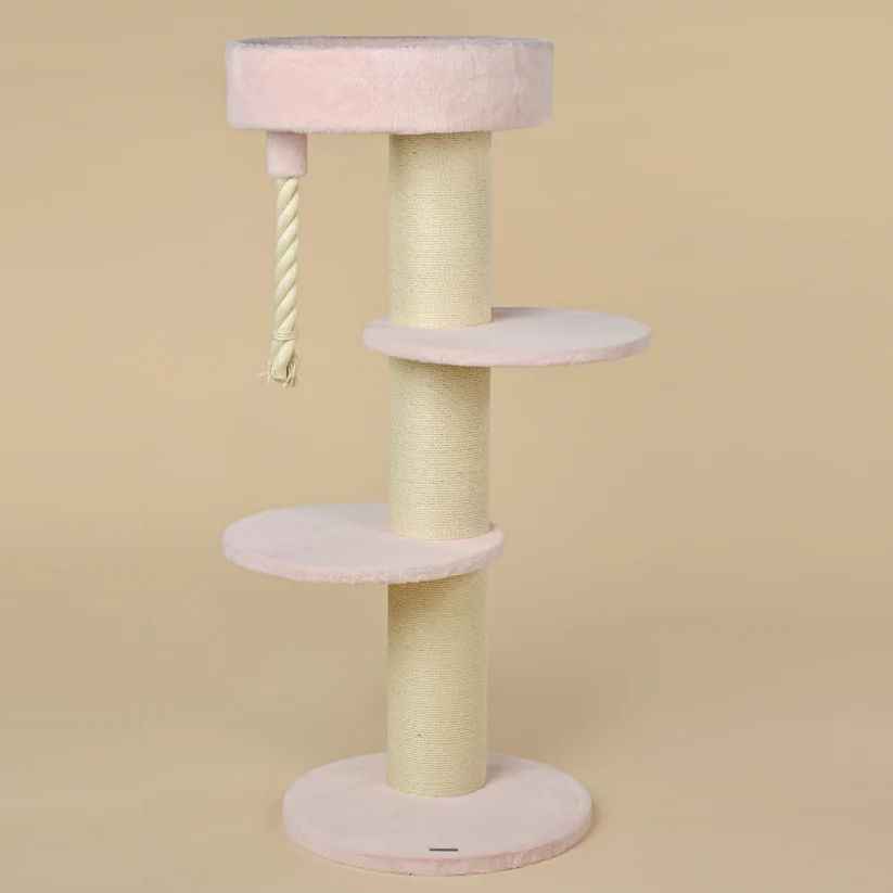 pink rosa kratzbaum coon sleeper