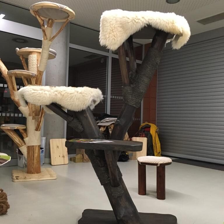 Holz Kratzbaum | Holzkratzbume aus Echtholz, Eiche, Buche, Nuss