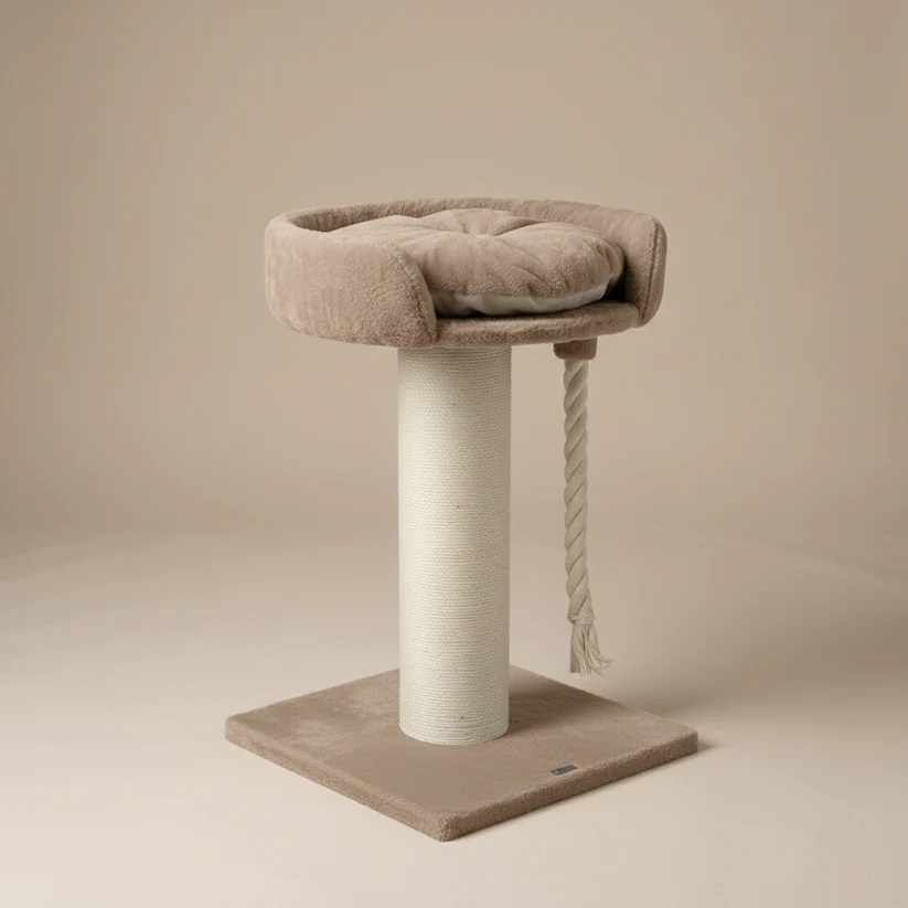 kleiner Kratzbaum braun