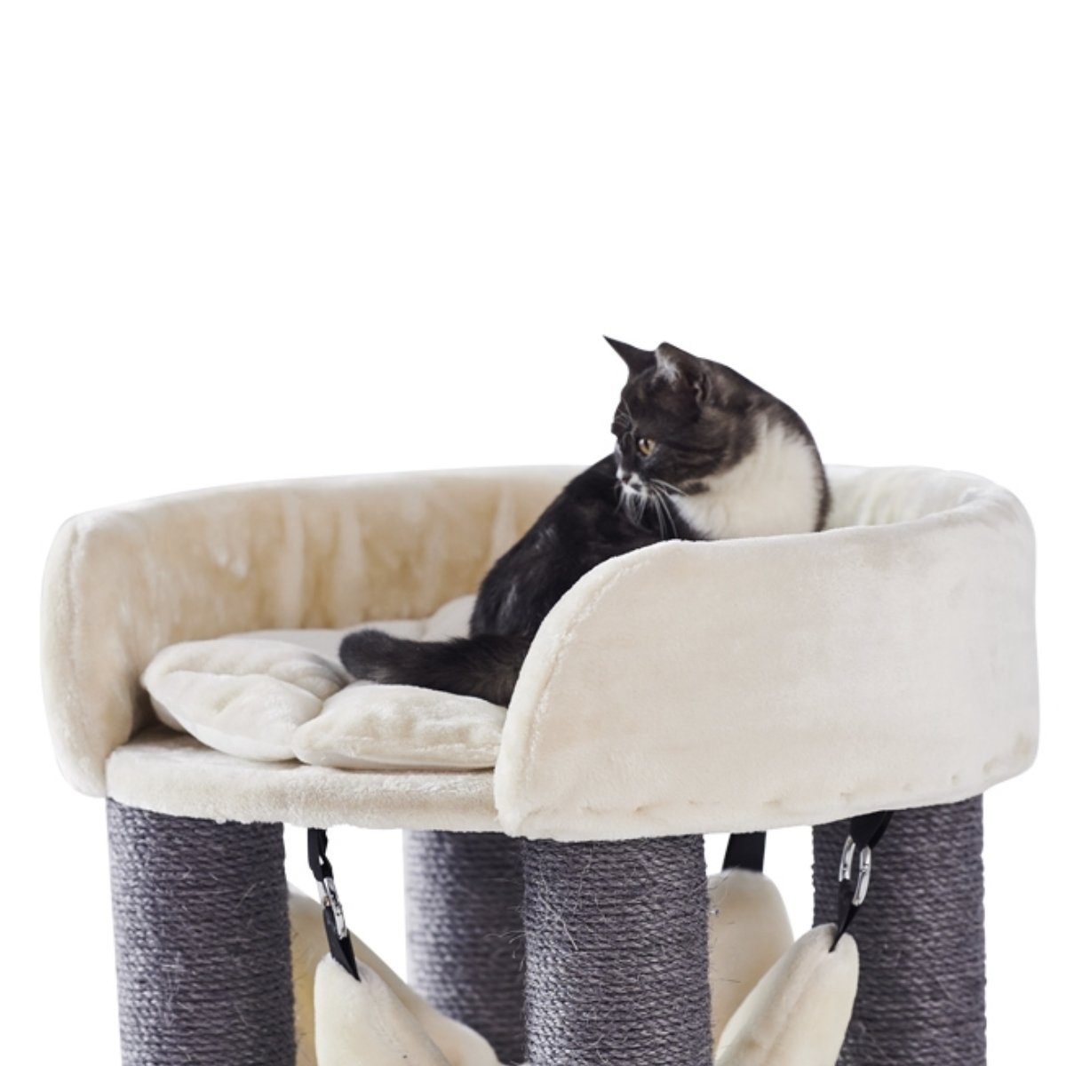 Kratzbaum ELA in Cream mit Ø 60 cm Bodenplatte und 89 cm Höhe (2)