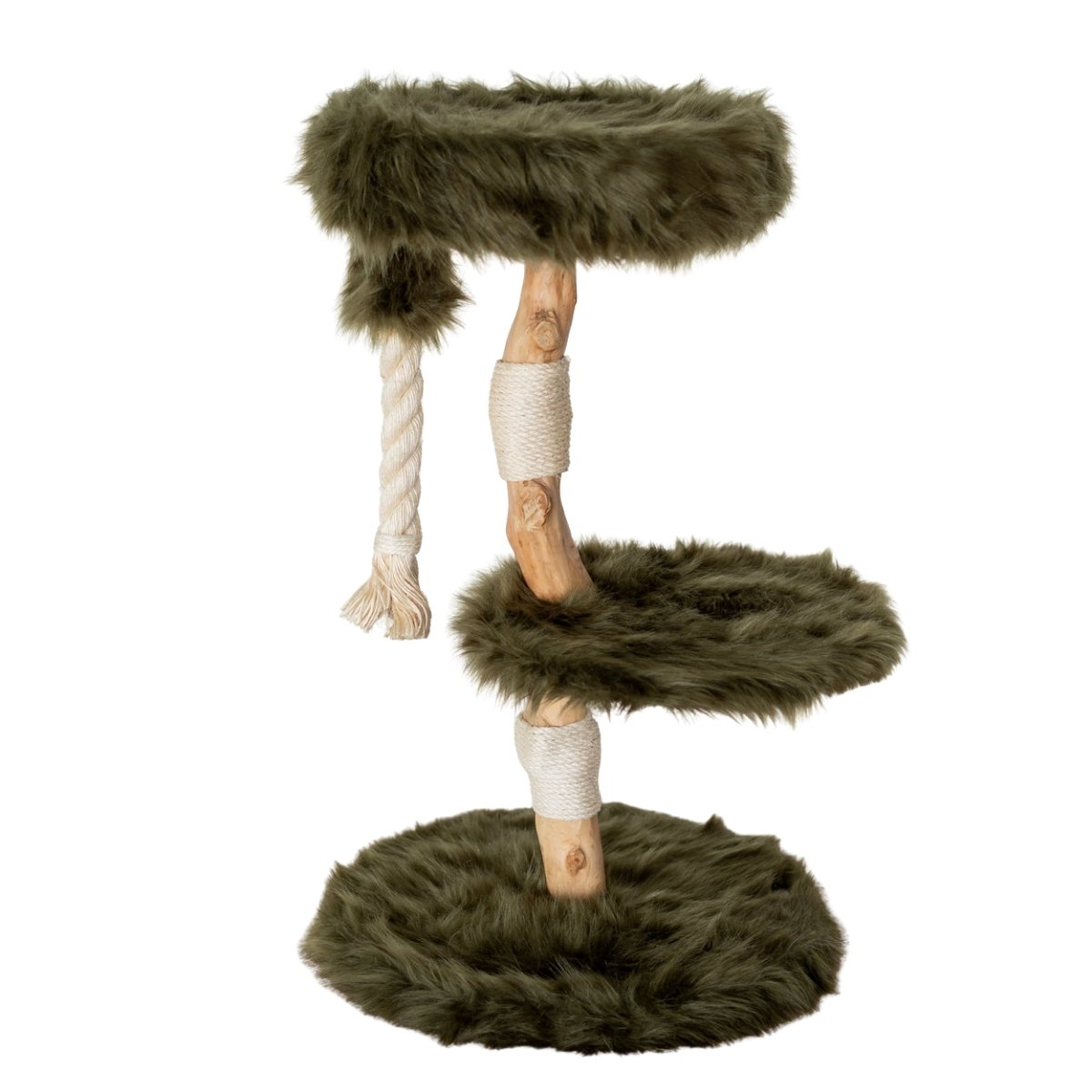 Kratzbaum in Forest Green mit Sisalstangen, Plüschplattformen und Spielseil für Katzen und Kätzchen