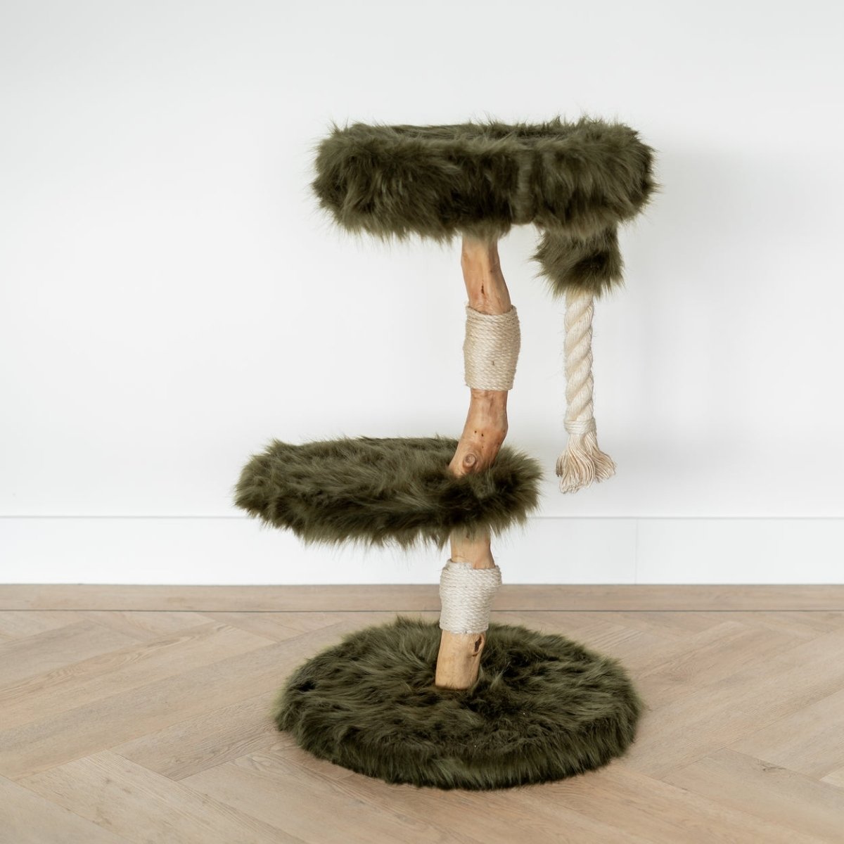 Moderner Katzenkratzbaum in Forest Green mit Holzoptik, Kuschelplattform und Sisalspielseil