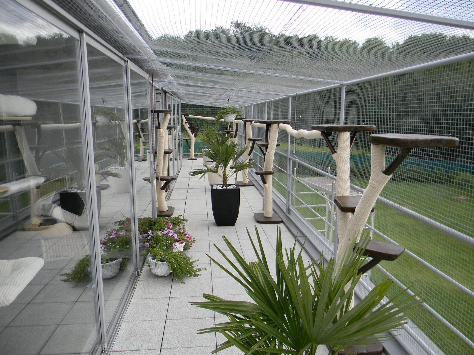Balkon Katzenkratzbaum design Echtholz