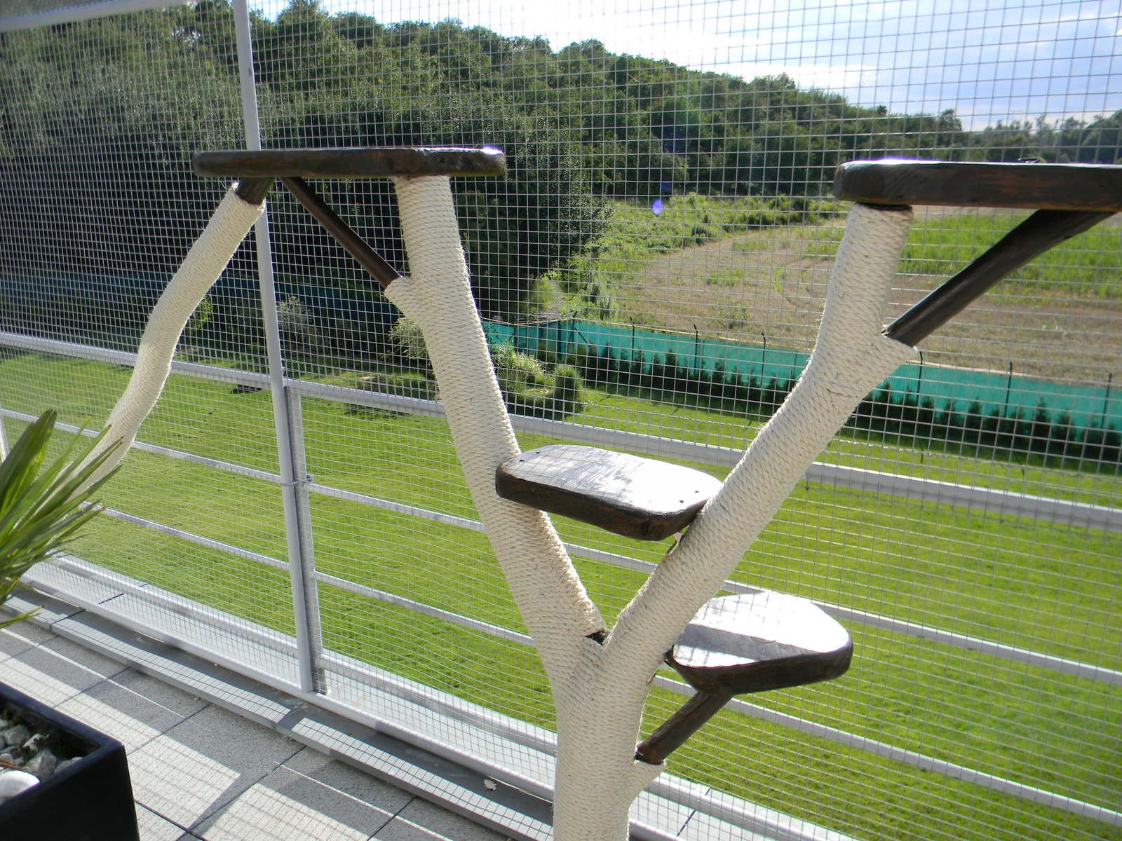 Balkon Kratzbaum modern