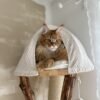 Katze die in einem Katzenbaum liegt