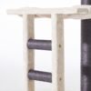 Katzenbaum modern mit Leiter beige