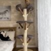 Katzenkratzbaum Naturholz