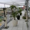 Outdoor Katzenbaum Natur