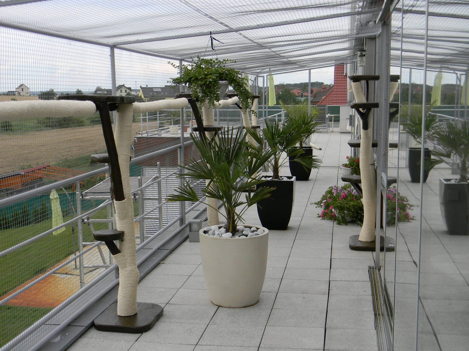 Outdoor Katzenbaum Natur
