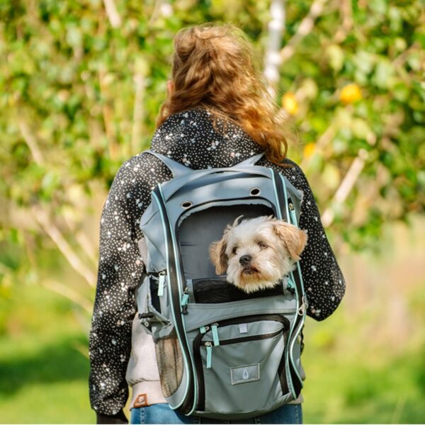 Rucksack für Katzen in hellgrau