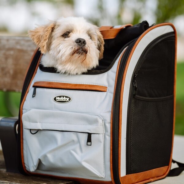 Rucksack für Katzen in hellgrau