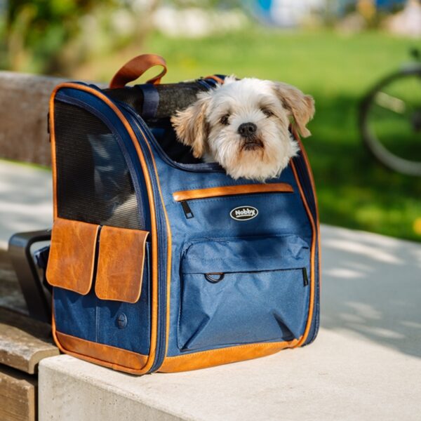 Rucksack in blau für Katzen