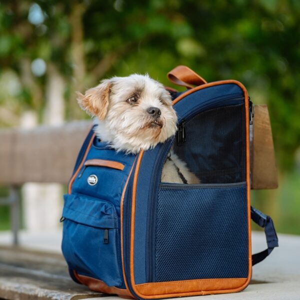 blauer Katzenrucksack mit Öffnungen