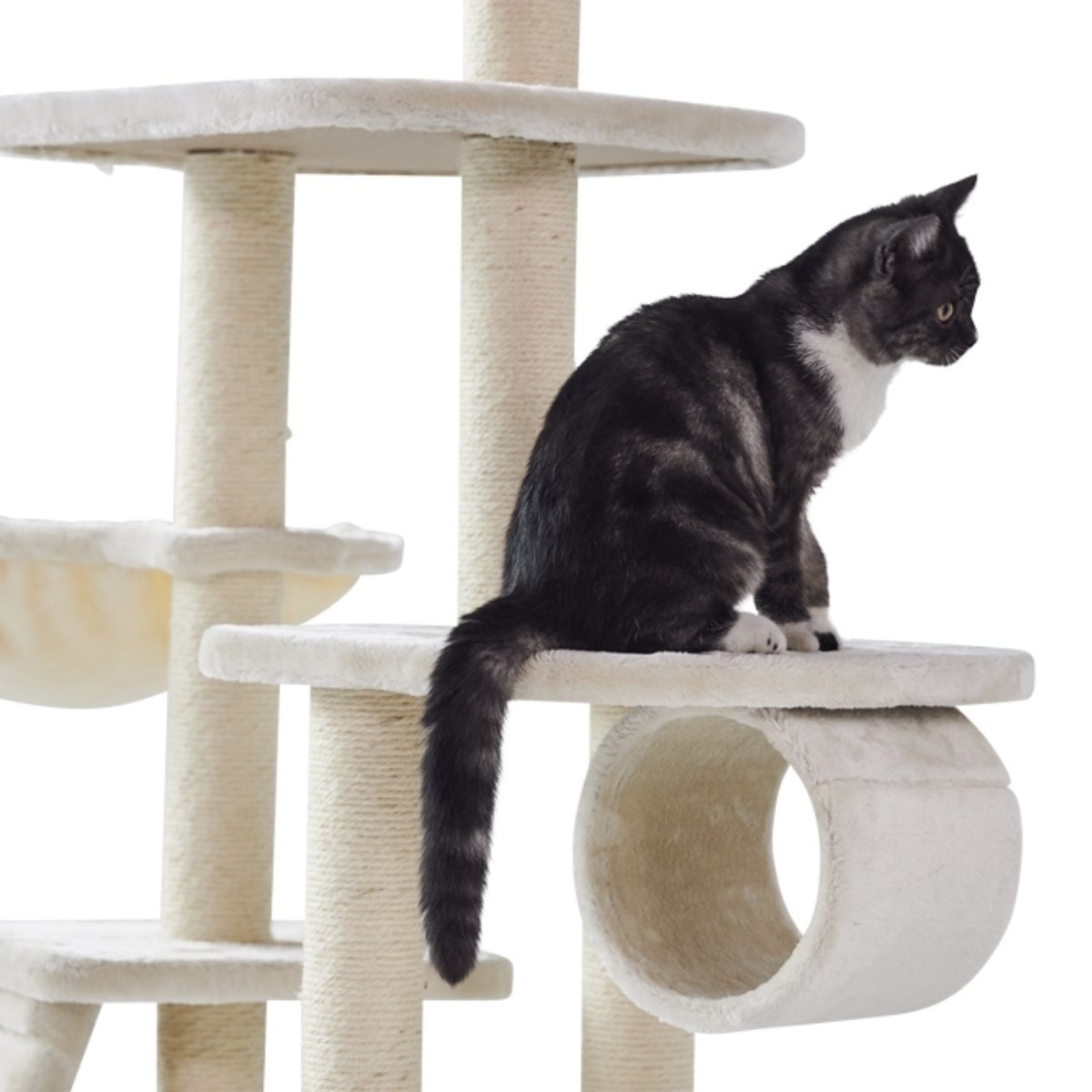 cream Katzenbaum für kleine Katzen