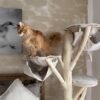 creme Katzenkratzbaum