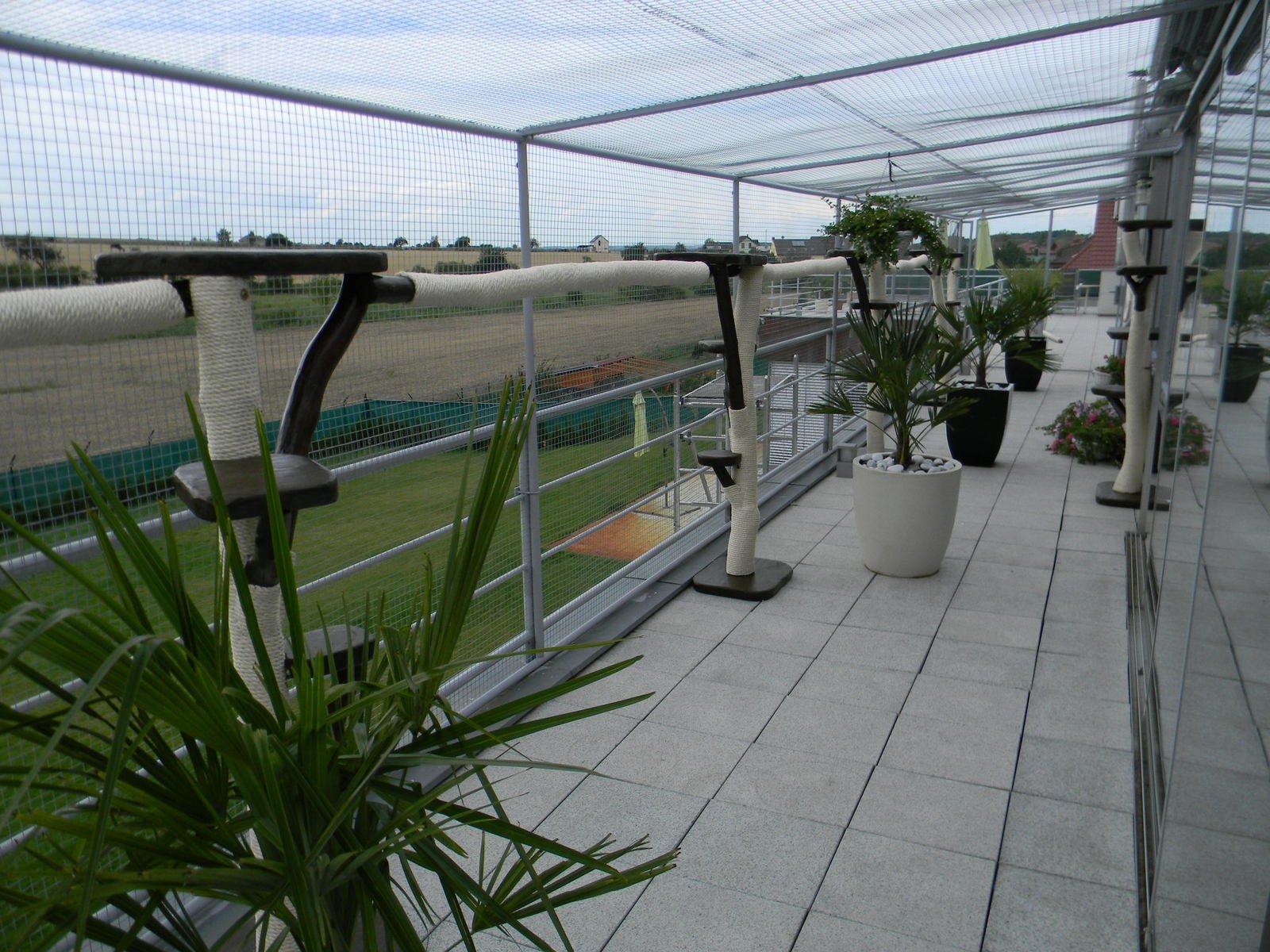 designer Outdoor Kratzbäume für Balkon