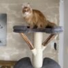 grauer Katzenbaum Naturholz