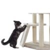 günstiger Katzenbaum für mini Kater