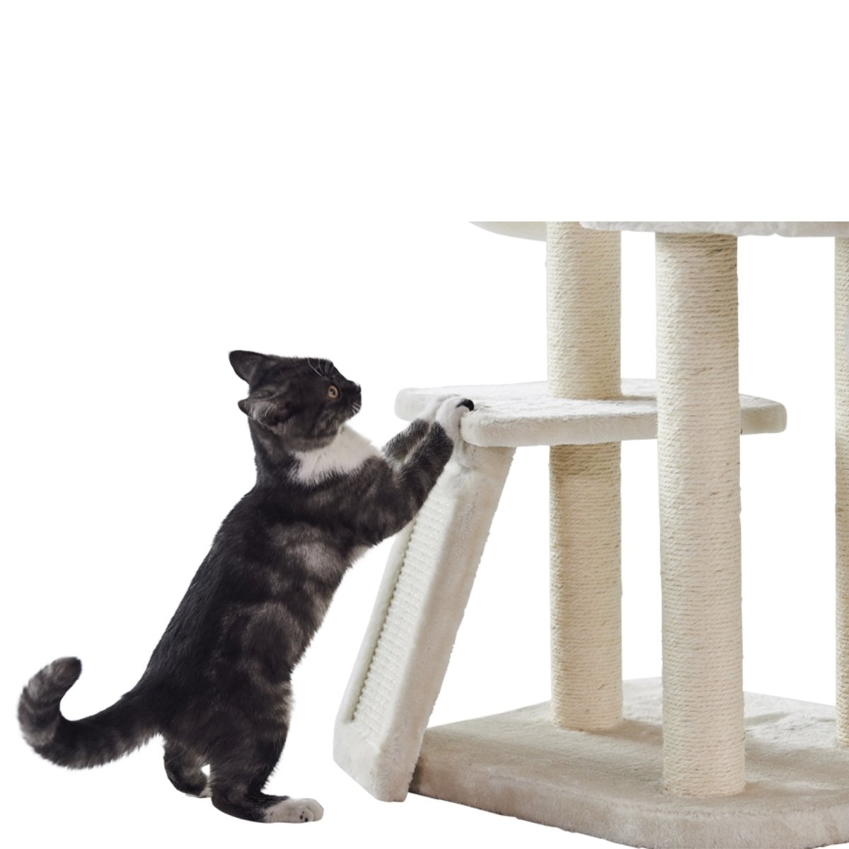 günstiger Katzenbaum für mini Kater