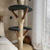 handgefertigter Katzenkratzbaum
