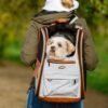 hellgrau Katzenrucksack mit mehreren Öffnungen