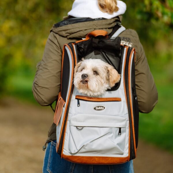 hellgrau Katzenrucksack mit mehreren Öffnungen