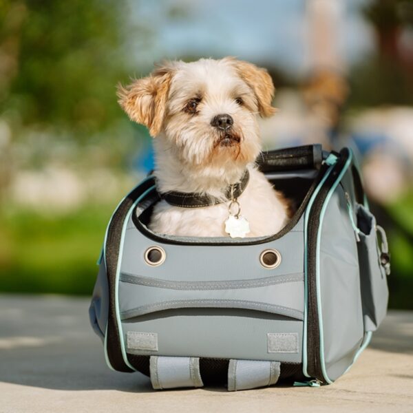 hellgrauer multifunktions Katzenrucksack