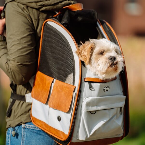 mehrere Öffnungen Katzenrucksack