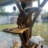 moderner Holz Katzenkratzbaum