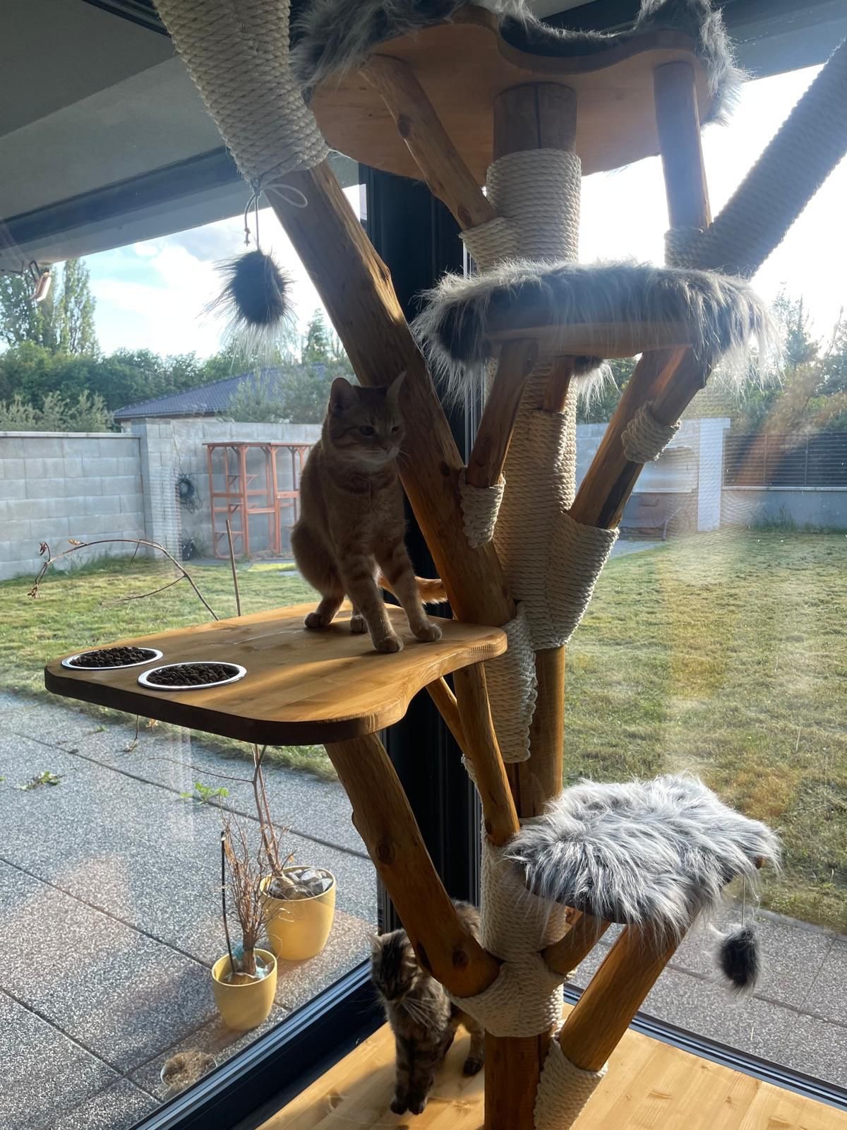 moderner Holz Katzenkratzbaum