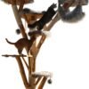 moderner Kratzbaum mit Futternäpfen