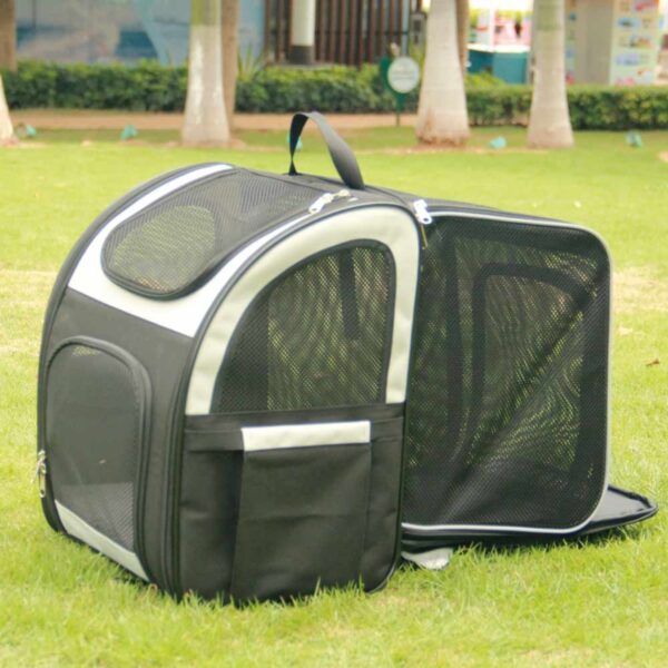 schöner ausziehbarer schwarzer Katzenrucksack