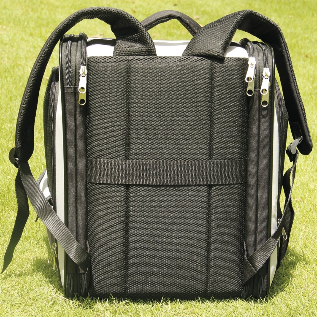 schwarzer ausklappbarer Katzenrucksack