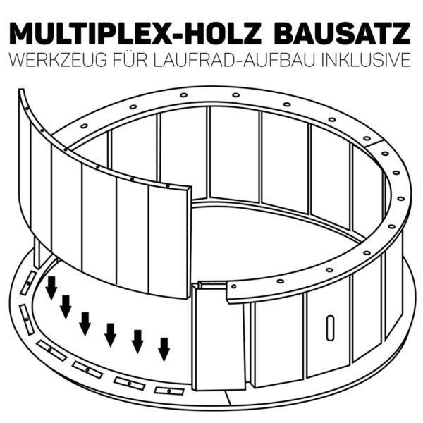 Aufbau des Katzenlaufrades