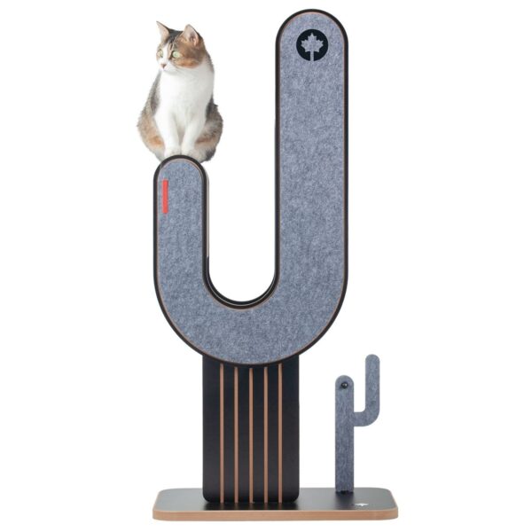 Design Kratzmöbel Kaktus