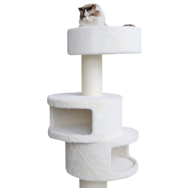 Katze Kratzbaum